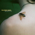 Palomino Blond – You Feel It Too