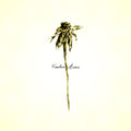 Patrick Watson – Wooden Arms