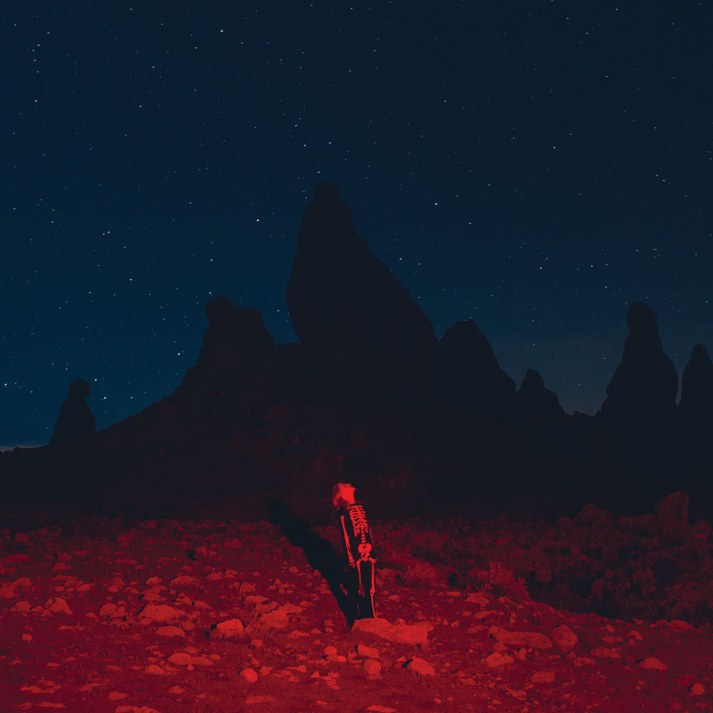 Phoebe Bridgers – Punisher