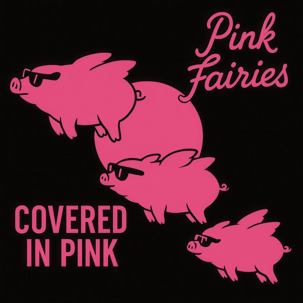 Pink Fairies – Covered In Pink