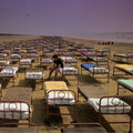 Pink Floyd – A Momentary Lapse of Reason