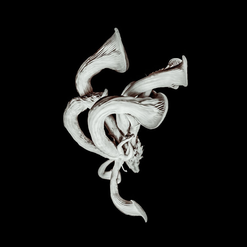 Pixies – Beneath the Eyrie (Deluxe)
