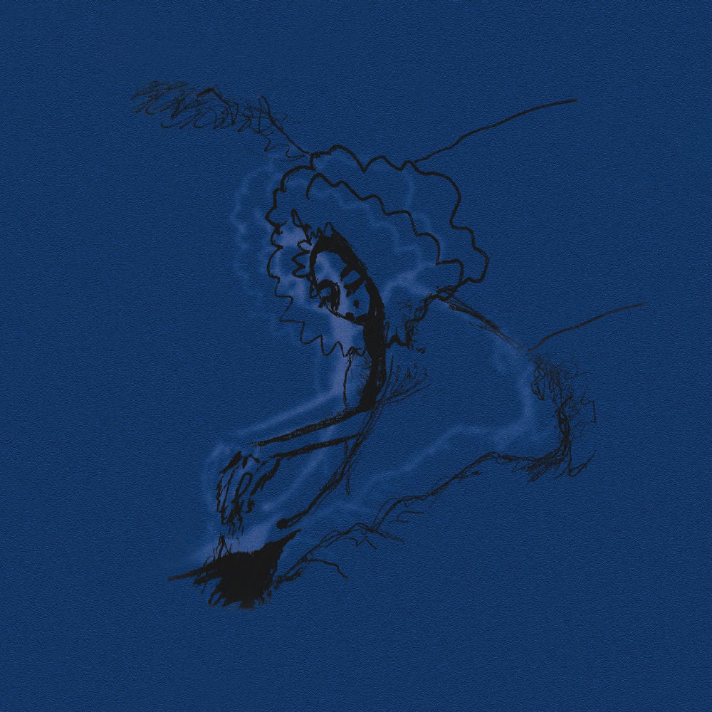 Polar Bear – Dim Lit