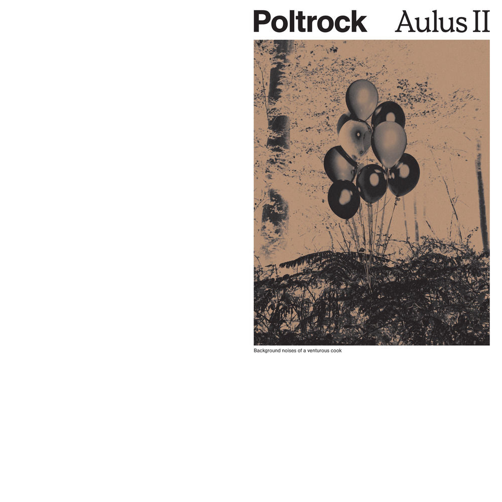 Poltrock – Aulus II