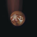 Poolblood – mole