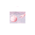 Porches – Pool