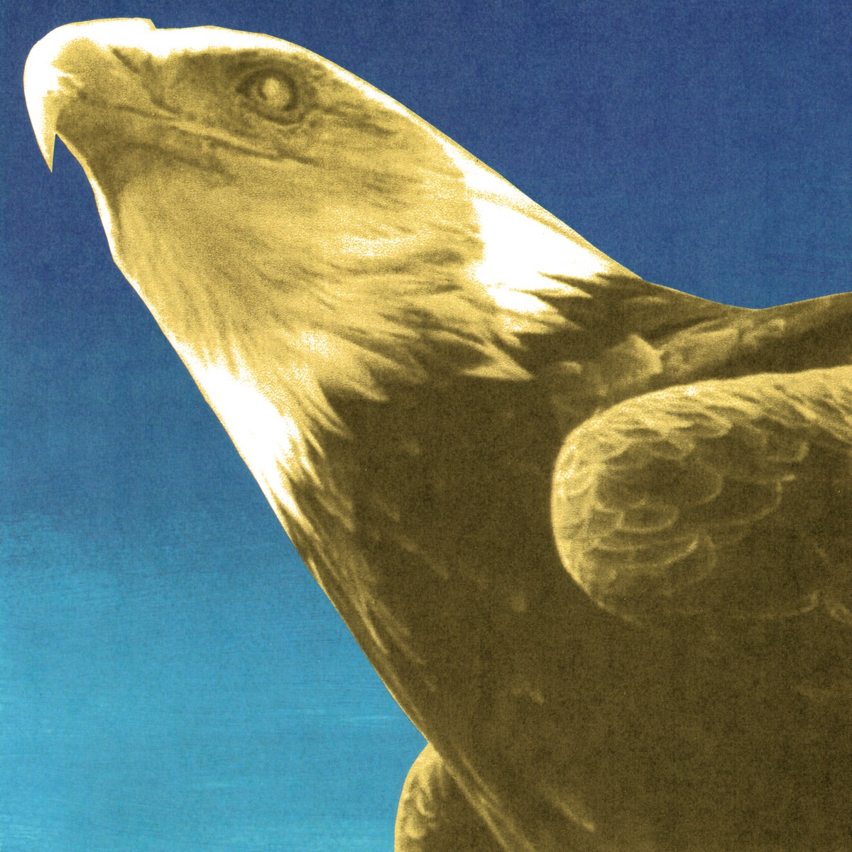 Protomartyr – Hotel Usona