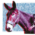 Protomartyr – Ultimate Success Today
