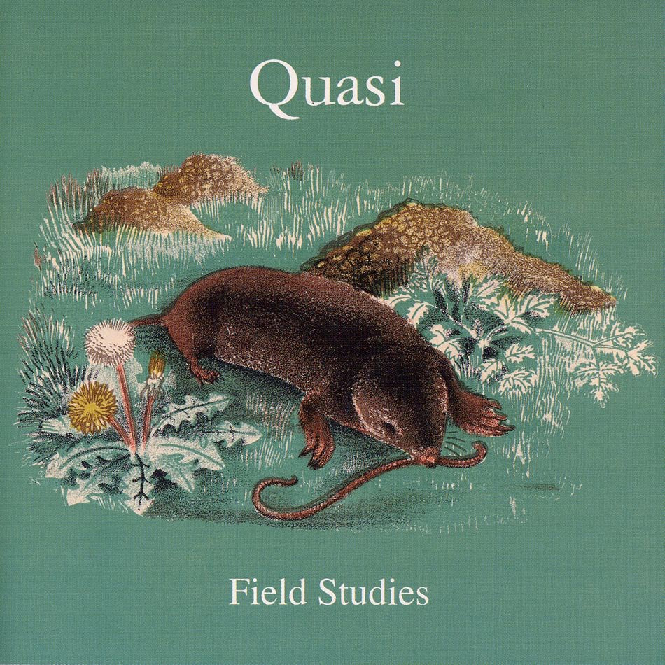 Quasi – Field Studies