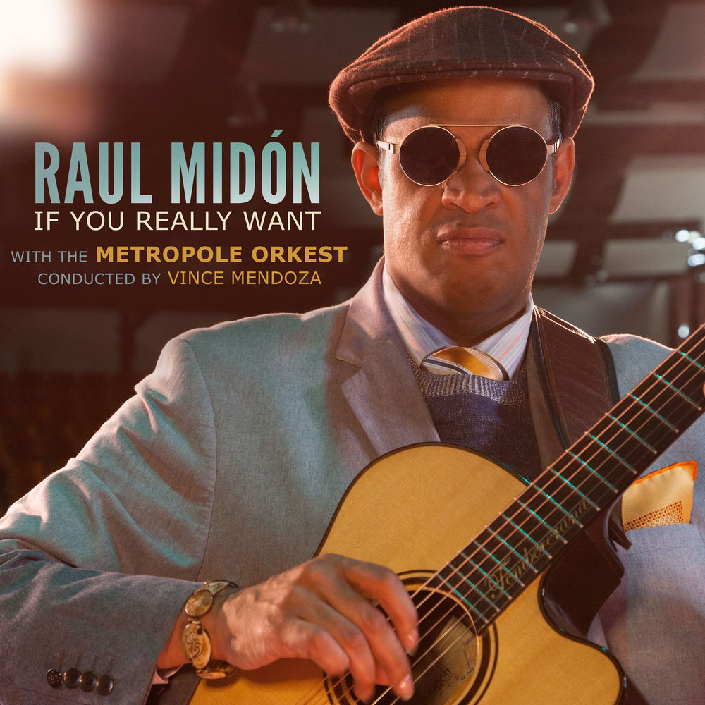 Raul Midón – If You Really Want