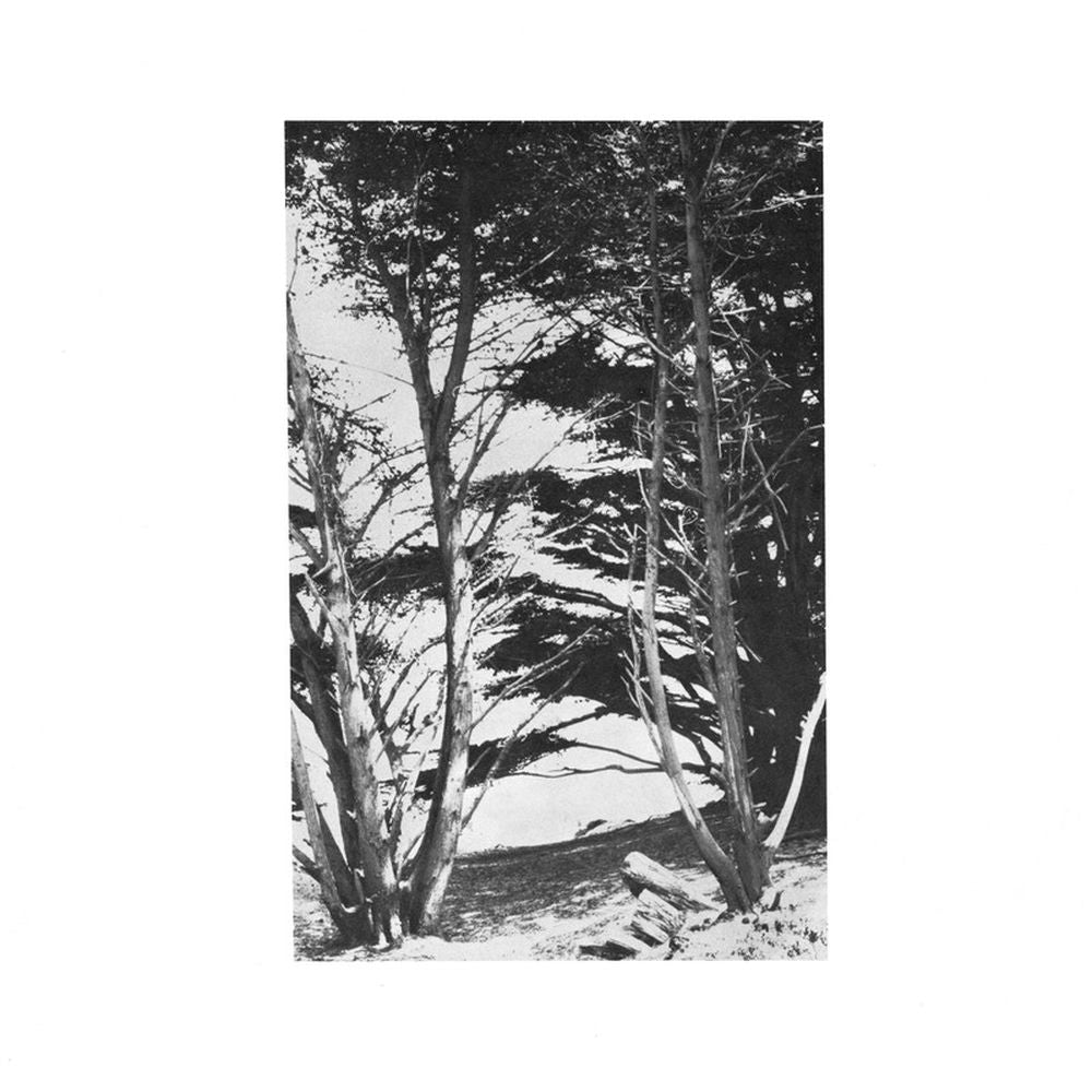 Rick Deitrick – Gentle Wilderness