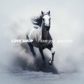 Love Shop – I Love You, Goodbye