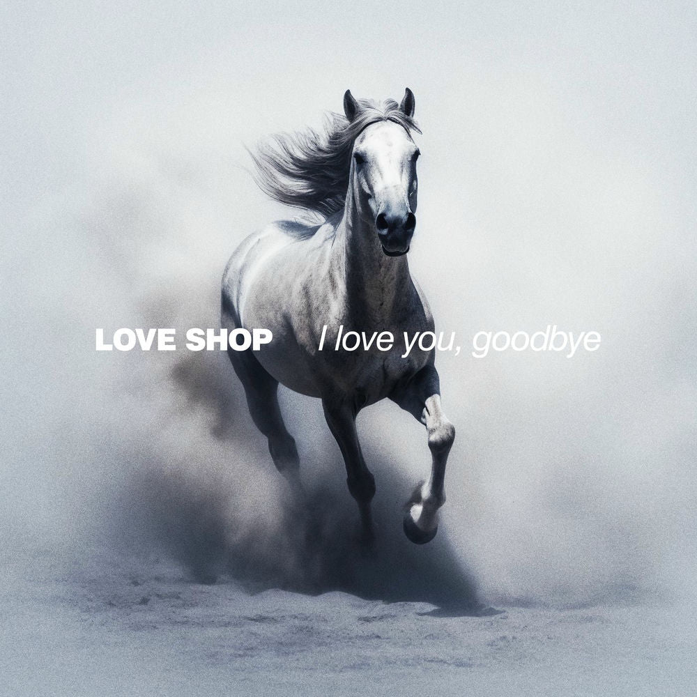 Love Shop – I Love You, Goodbye