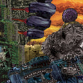 Rxm Reality – No. 1 in the World