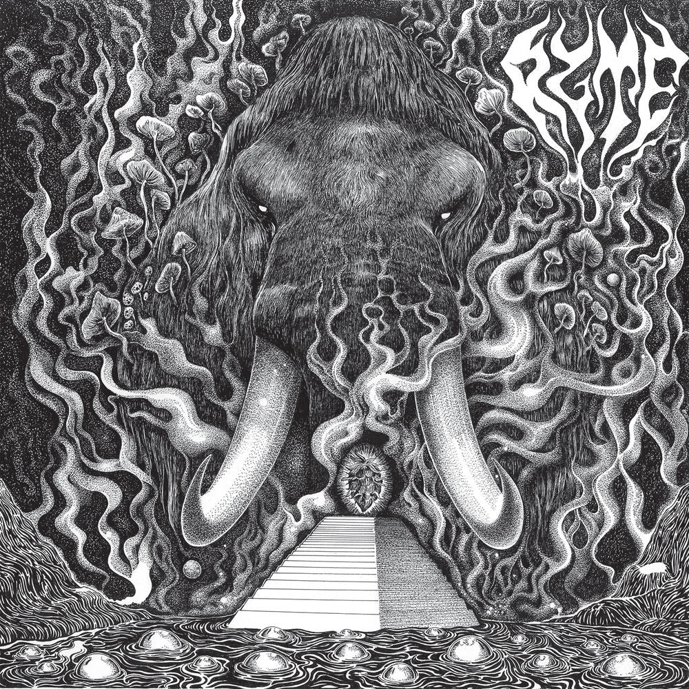 RYTE – Ryte