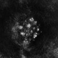 SaffronKeira – Synecdoche