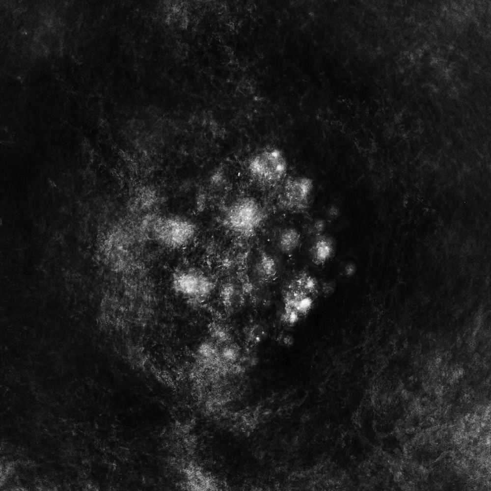 SaffronKeira – Synecdoche