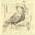 Sarah Belle Reid – Accidental Ornithology