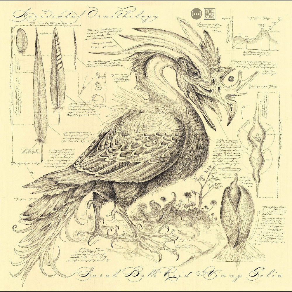 Sarah Belle Reid – Accidental Ornithology