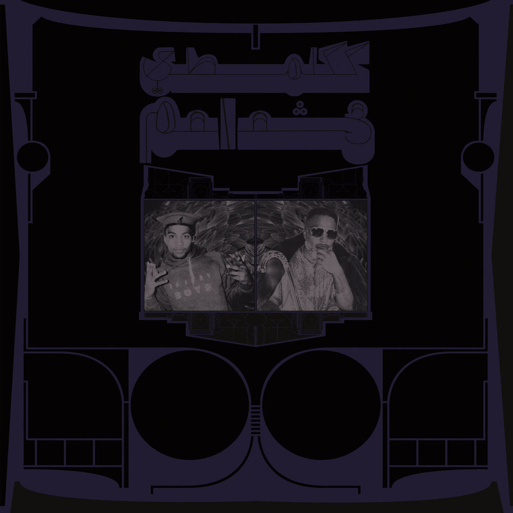 Shabazz Palaces – Exotic Birds of Prey
