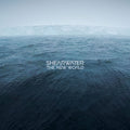 Shearwater – The New World