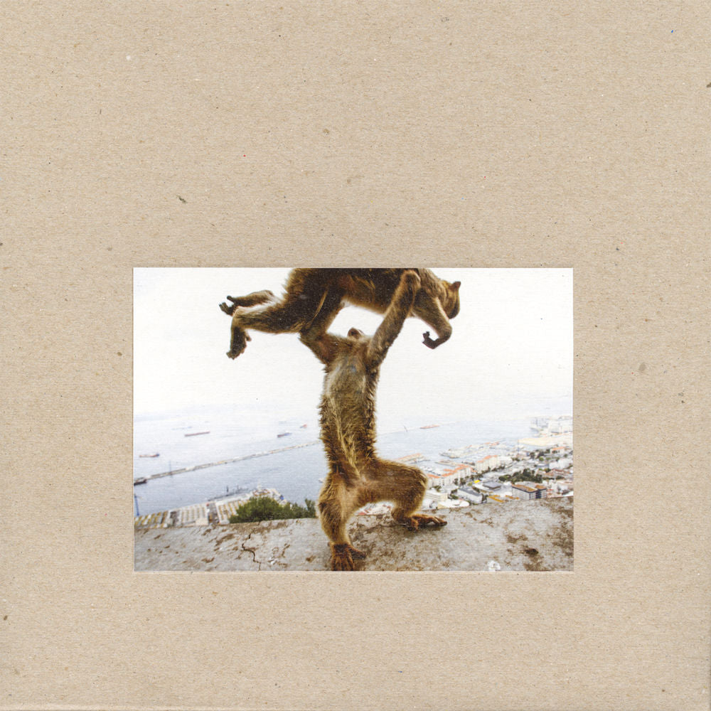 Shellac – Dude Incredible