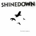 Shinedown – The Sound of Madness