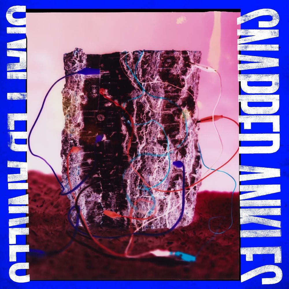 Snapped Ankles – Forest of Your Problems