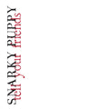 Snarky Puppy – Tell Your Friends