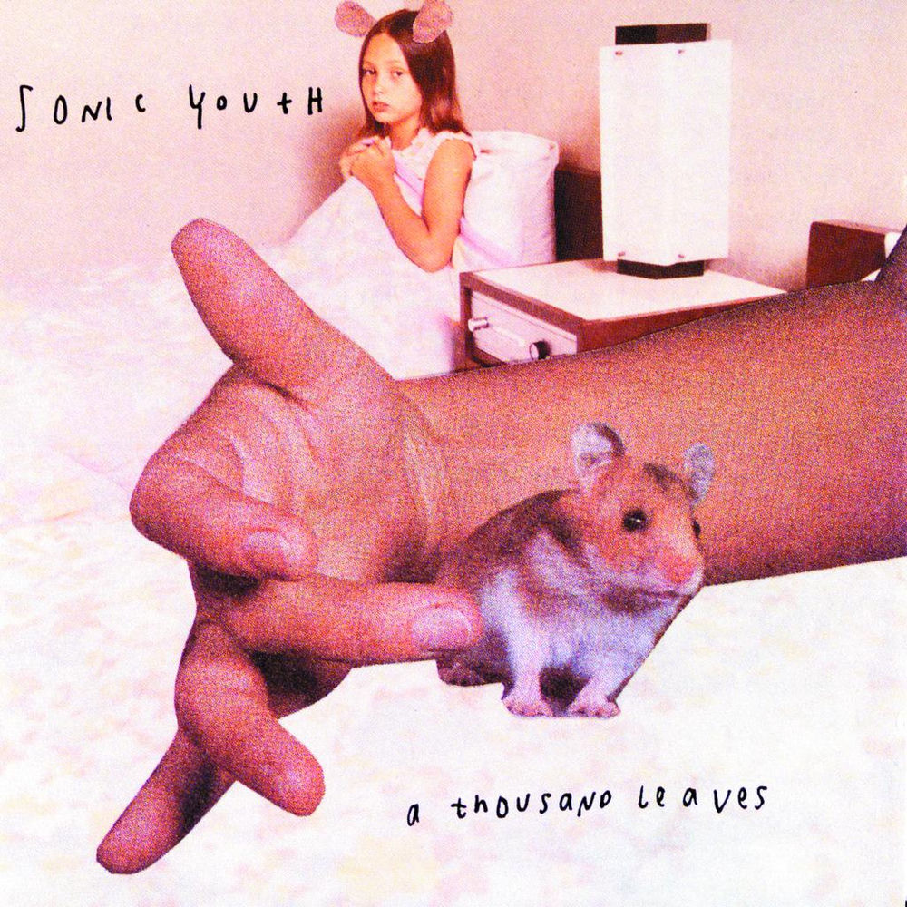 Sonic Youth – A Thousand Leaves