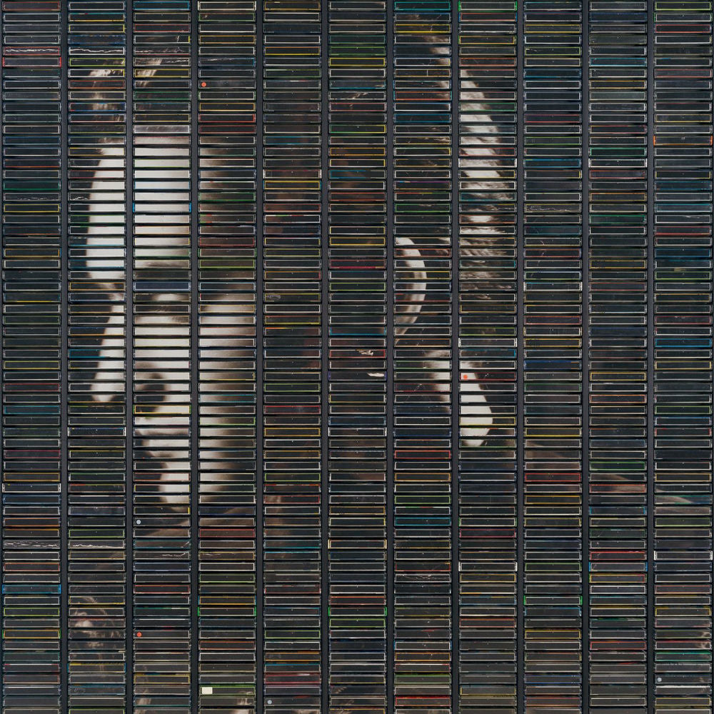 Stephan Eicher – Poussière D’Or
