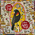 Steve Earle – Alone Again (Live)