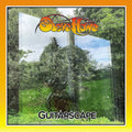 Steve Howe – Guitarscape