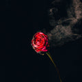 Sy Ari Da Kid – Sy Ari & R&B Friends