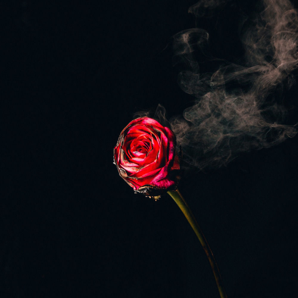 Sy Ari Da Kid – Sy Ari & R&B Friends