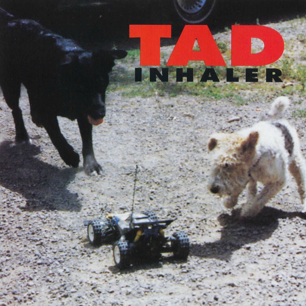 Tad – Inhaler