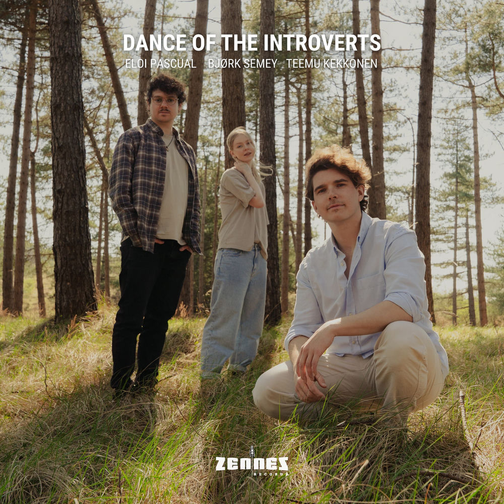 Teemu Kekkonen – Dance of the Introverts