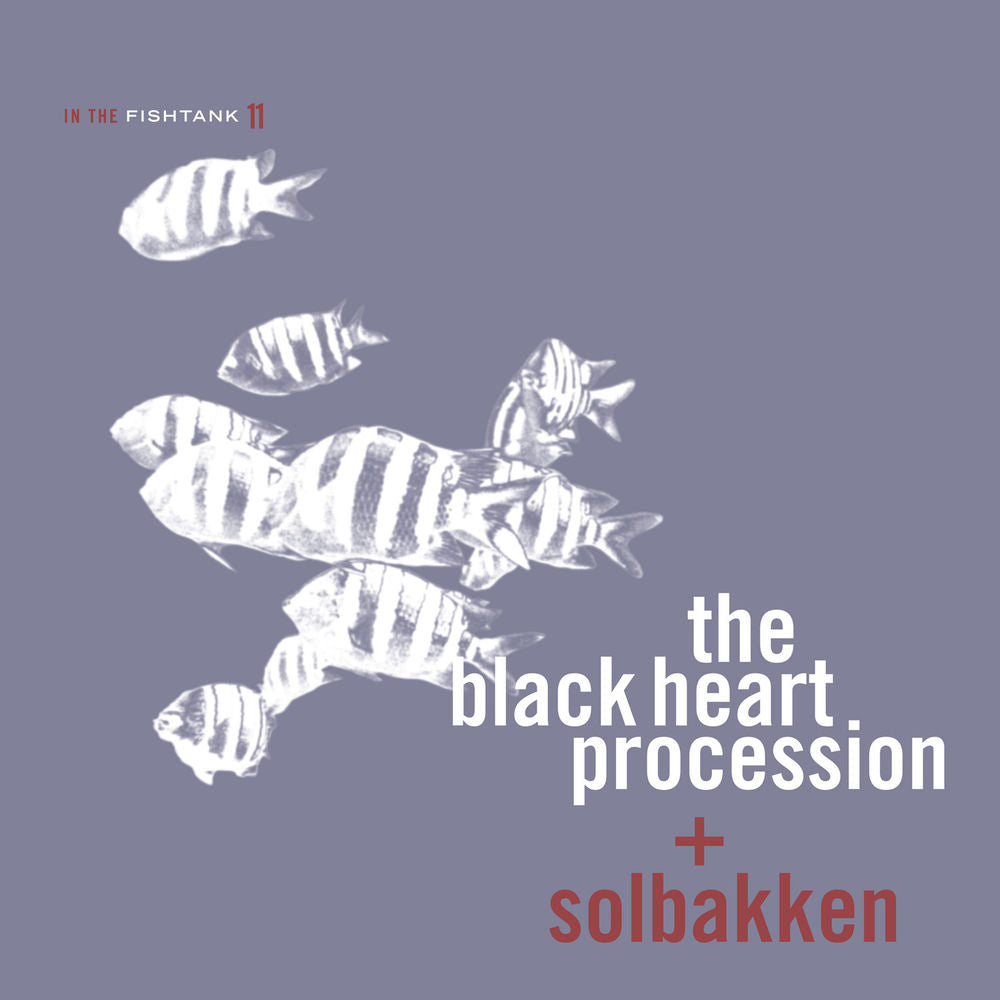 The Black Heart Procession – In The Fishtank 11