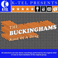 The Buckinghams – Kind Of A Drag (Rerecorded Version)