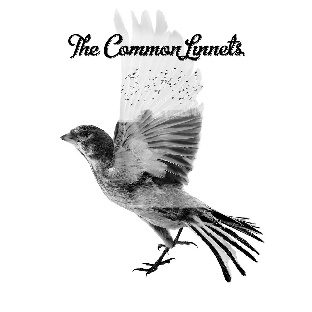 The Common Linnets – The Common Linnets