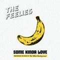 The Feelies – Some Kinda Love: Performing The Music Of The Velvet Underground