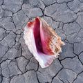 The Killers – Wonderful Wonderful (Deluxe)