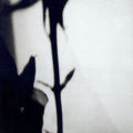 The Nàu Ensemble – The Eternal - Variations On Joy Division