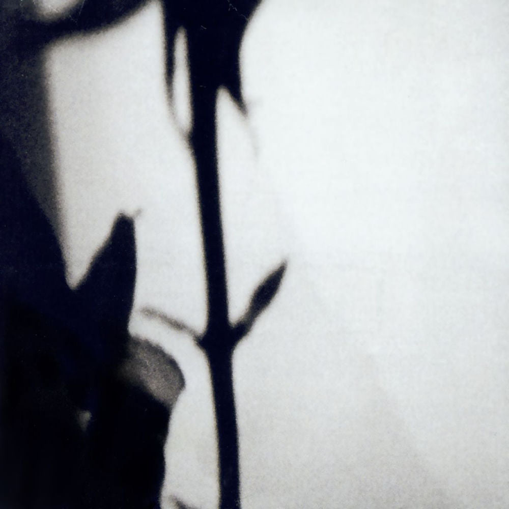The Nàu Ensemble – The Eternal - Variations On Joy Division