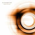 The Pineapple Thief – Tightly Unwound