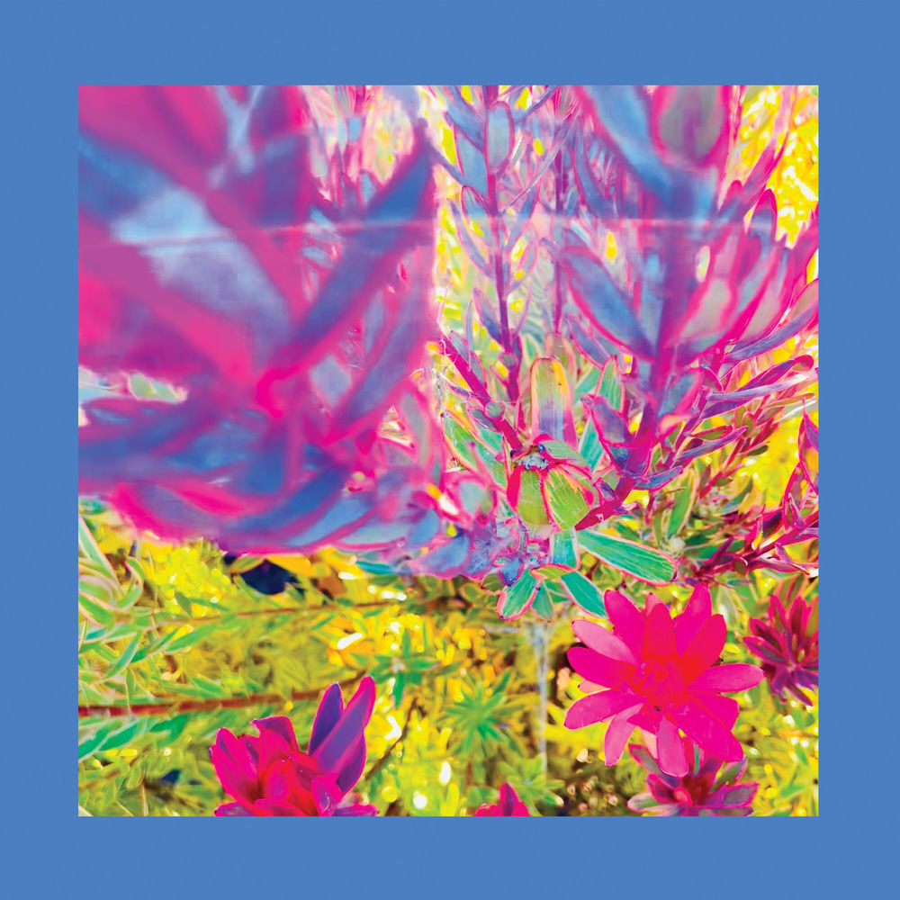 The Reds, Pinks and Purples – The Past Is a Garden I Never Fed