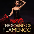 The Spanish Guitar – The Sound of Flamenco