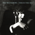 The Waterboys – This Is the Sea (Deluxe Version)