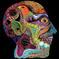 Thee Oh Sees – Cara Maluco