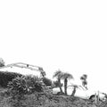 Timber Timbre – Hot Dreams